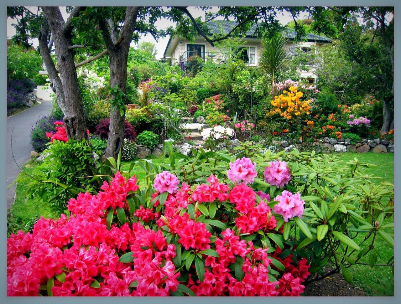 Mcauley Glen Boutique B&B Portobello 外观 照片